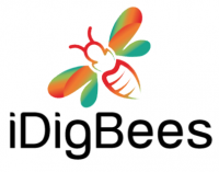 Idigbees-logo2.png