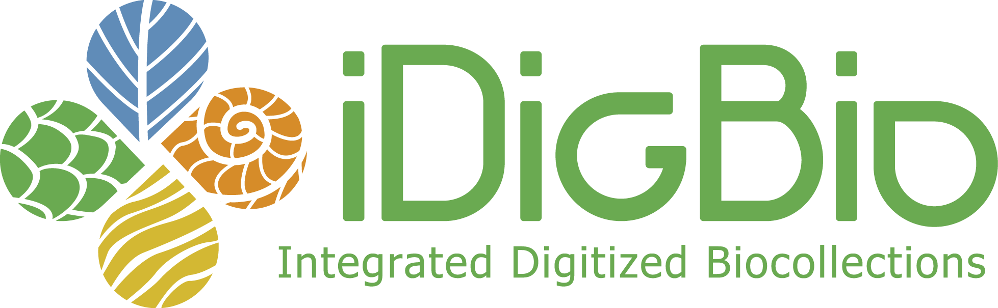 iDigBio logo