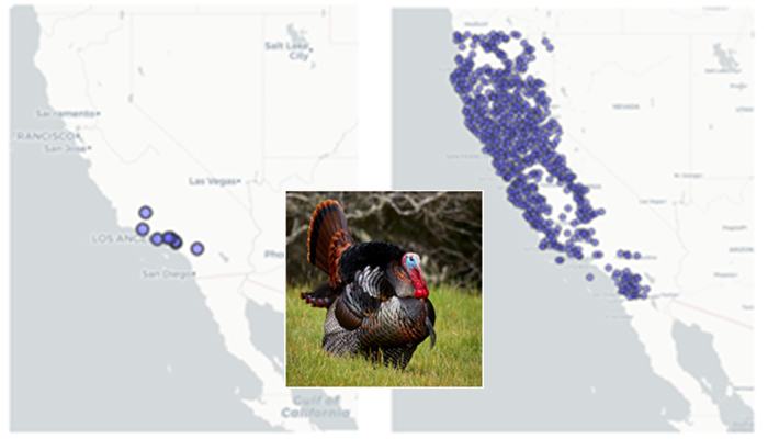 Two maps showing the distribution of modern records and fossil records of turkey.