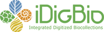 iDigBio logo