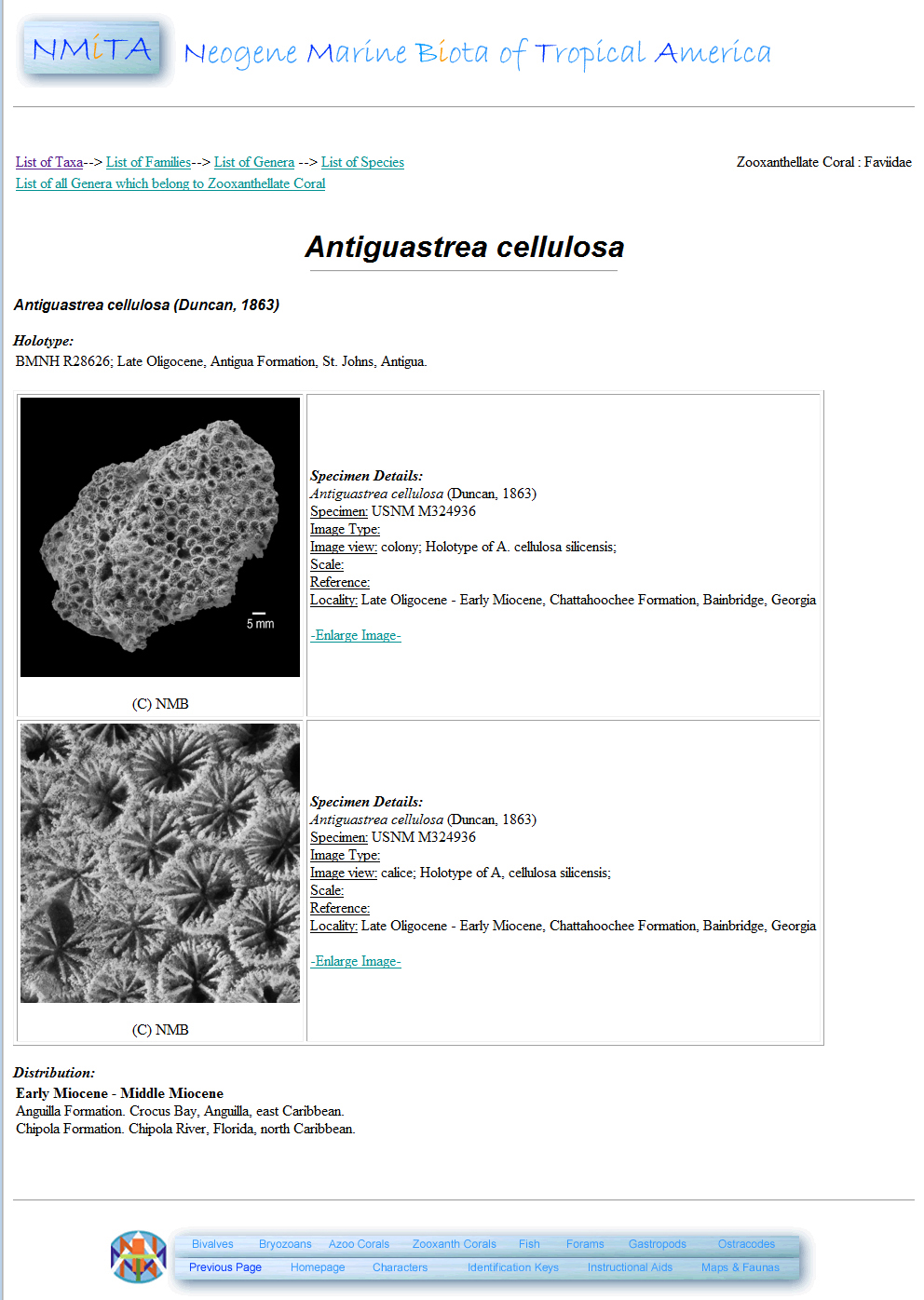 Figure 1. Example species page generated from the NMITA database.