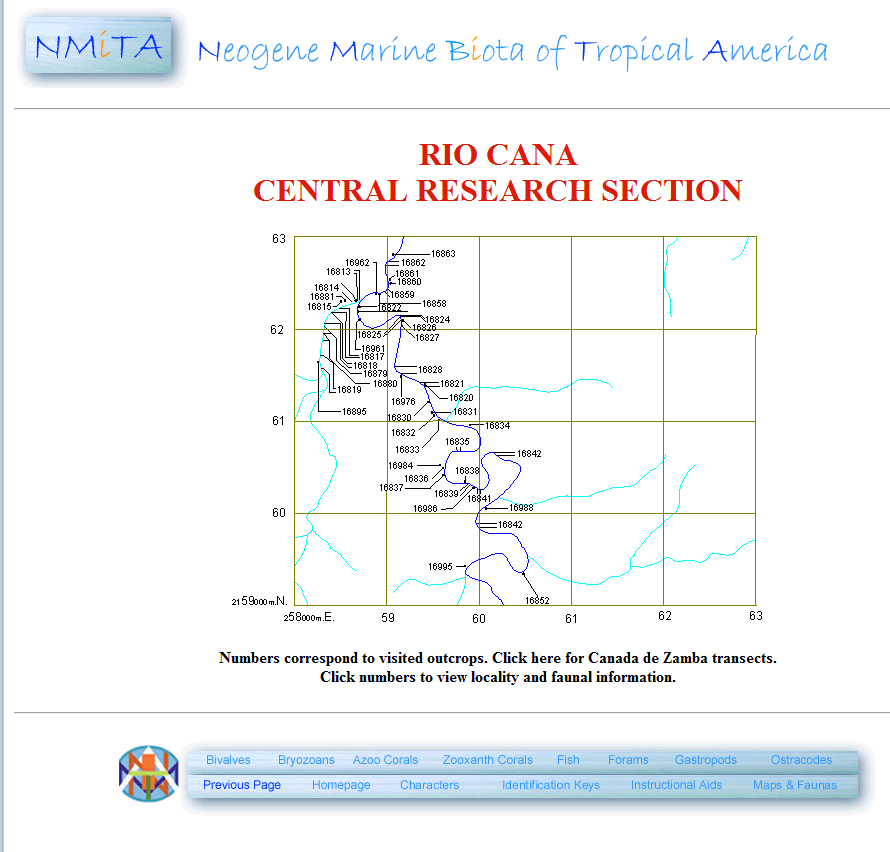 Figure 2. Interactive map of fossils collecting localities in the central research area of the Rio Cana, Dominican Republic. Selecting a locality generates a page of information about locality details stratigraphy, and taxa collected (linked to species pages) as well as cross-referencing with information on the research area in full.