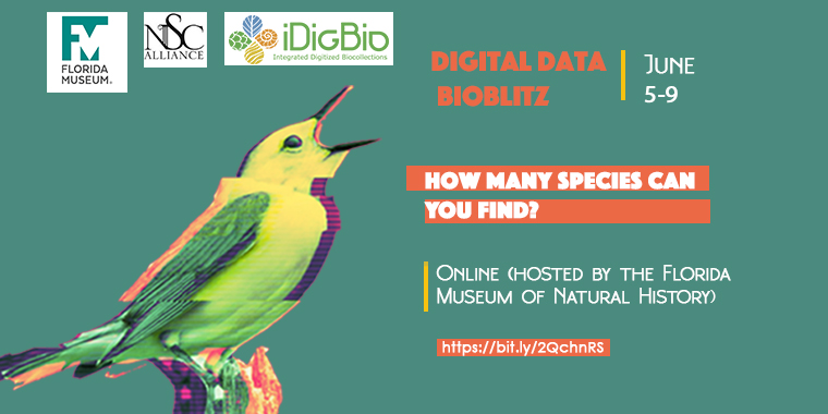 2023 WeDigBio's Why Dig Bio–Major Motivations Across Scale for Digitizing Biodiversity on Vimeo