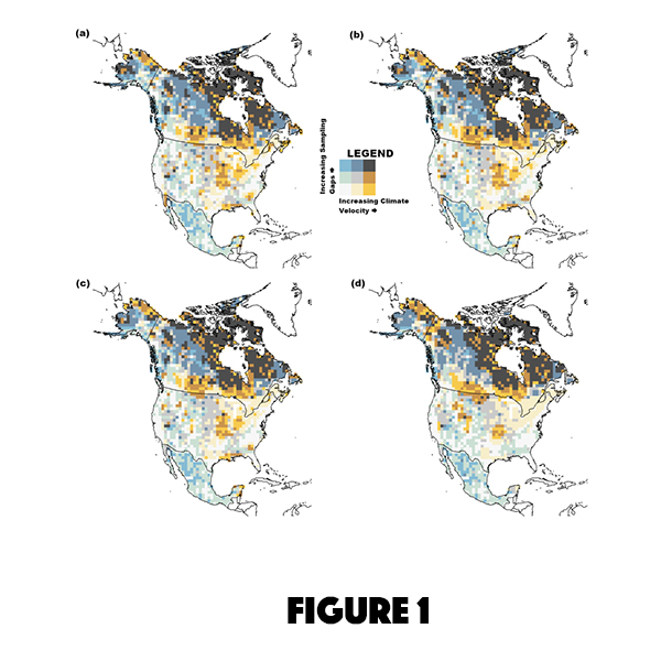 Figure 1. Butterfly inventory gaps vs. climate velocity under 4 RCP scenarios, (a) RCP 4.5 into 2050; (b) RCP 4.5 into 2080; (c) RCP 8.5 into 2050; (d) RCP 8.5 into 2080.