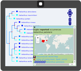 PhyloJIVE