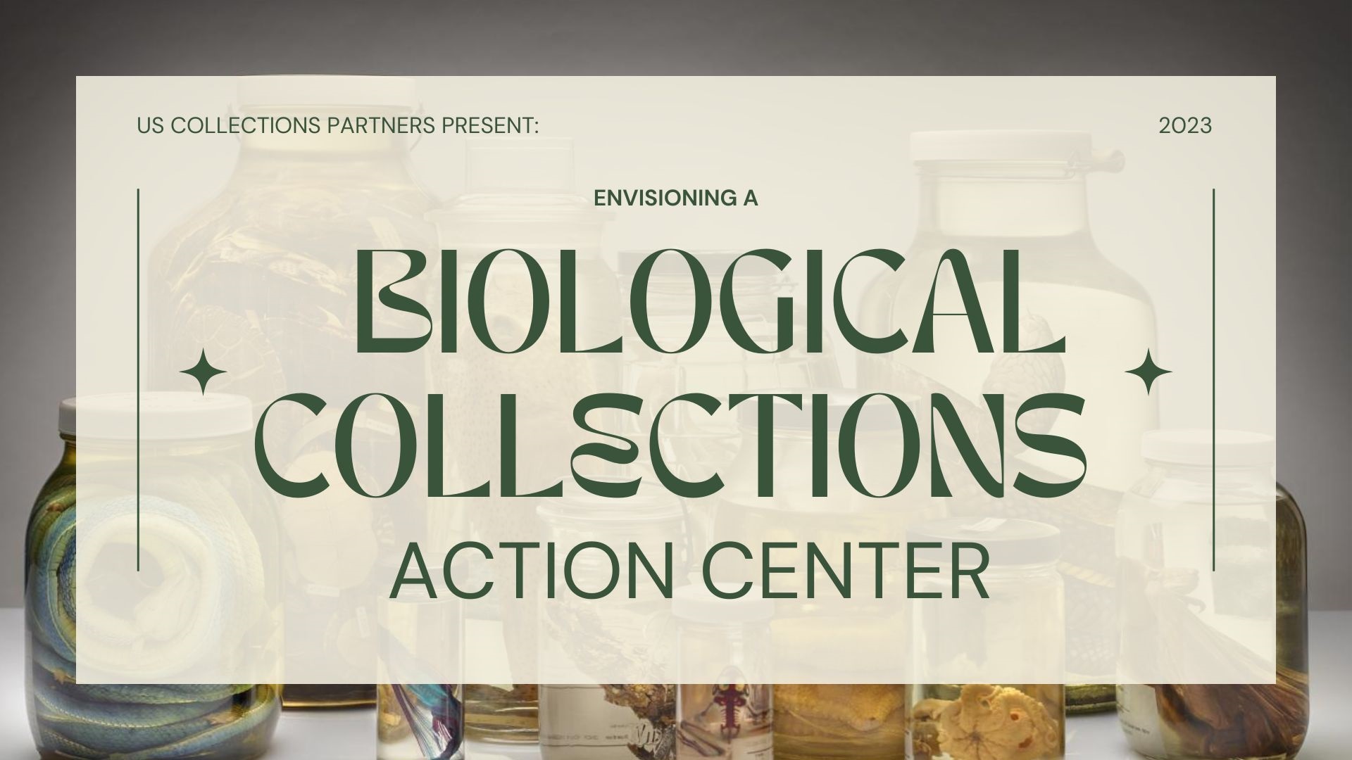 2023 ORGanized Webinar Series