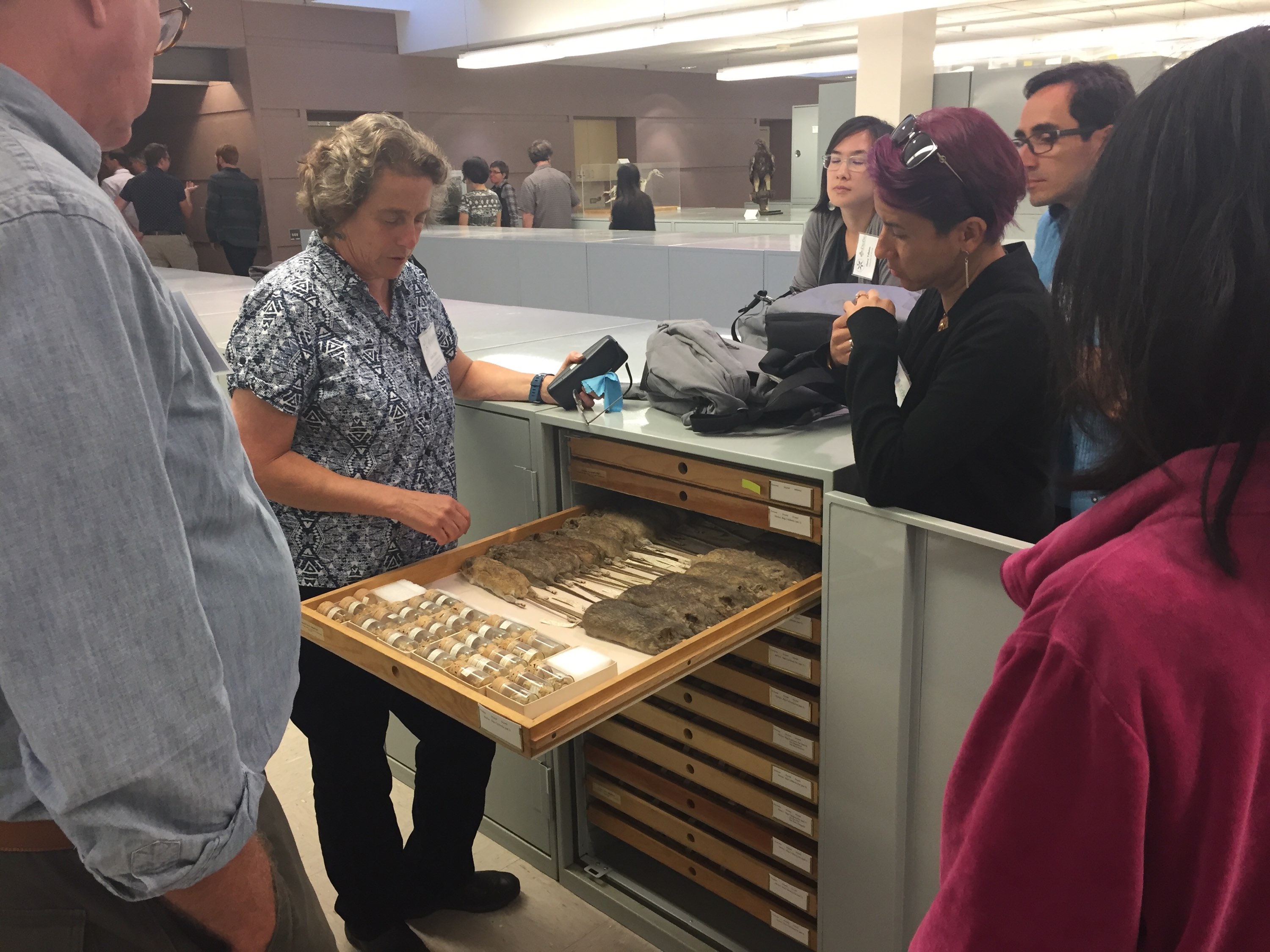 Carla Cicero giving tour of MVZ Collections