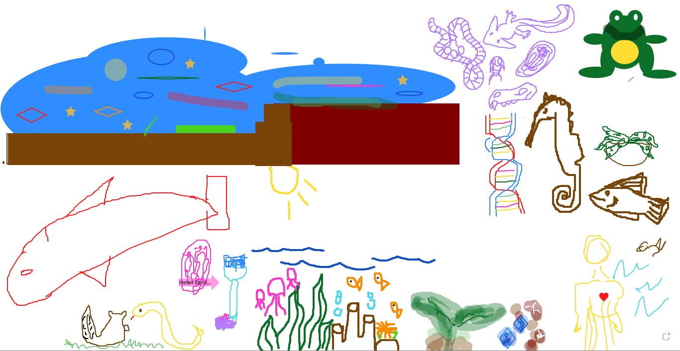 Screenshot from a Zoom whiteboard showing a variety of plants and animals participants drew to represent their interests in biology. 