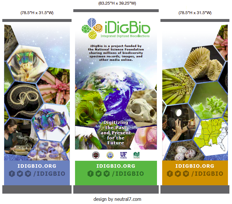 Idigbio-display-3-panel-large.png