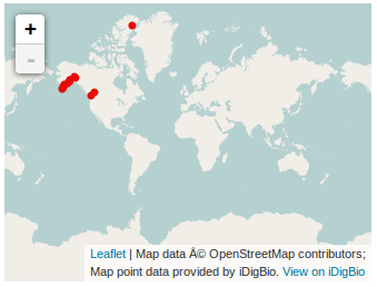 Idigbio api mapping search example.png