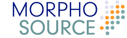 MorphoSource