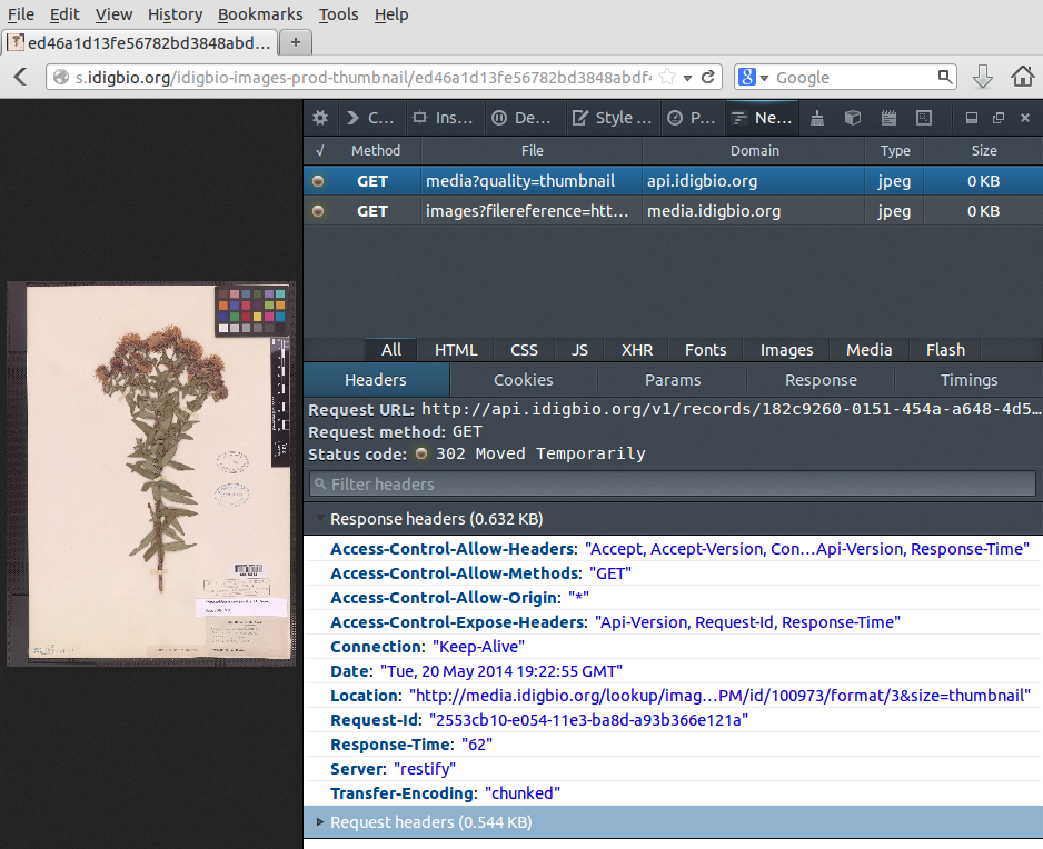 Screenshot firefox webdevtools thumbnail specimen 182c9260-0151-454a-a648-4d58ddf51bd8.png