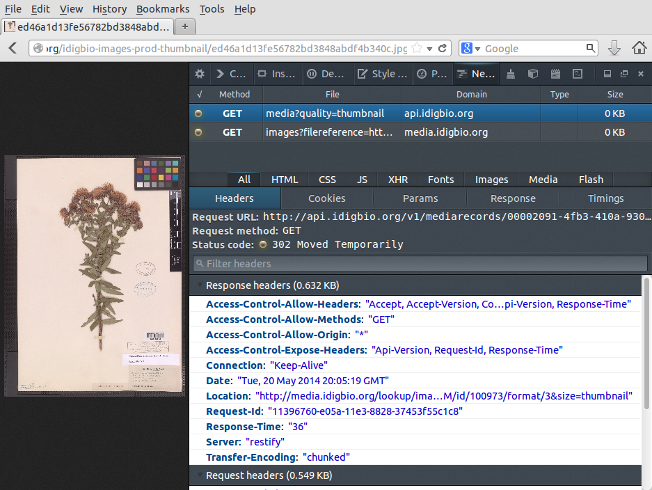 Screenshot firefox webdevtools thumbnail 00002091-4fb3-410a-9307-bd3e917dfcca.png