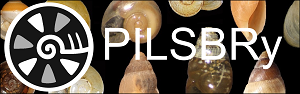 PISLBRy Logo.png