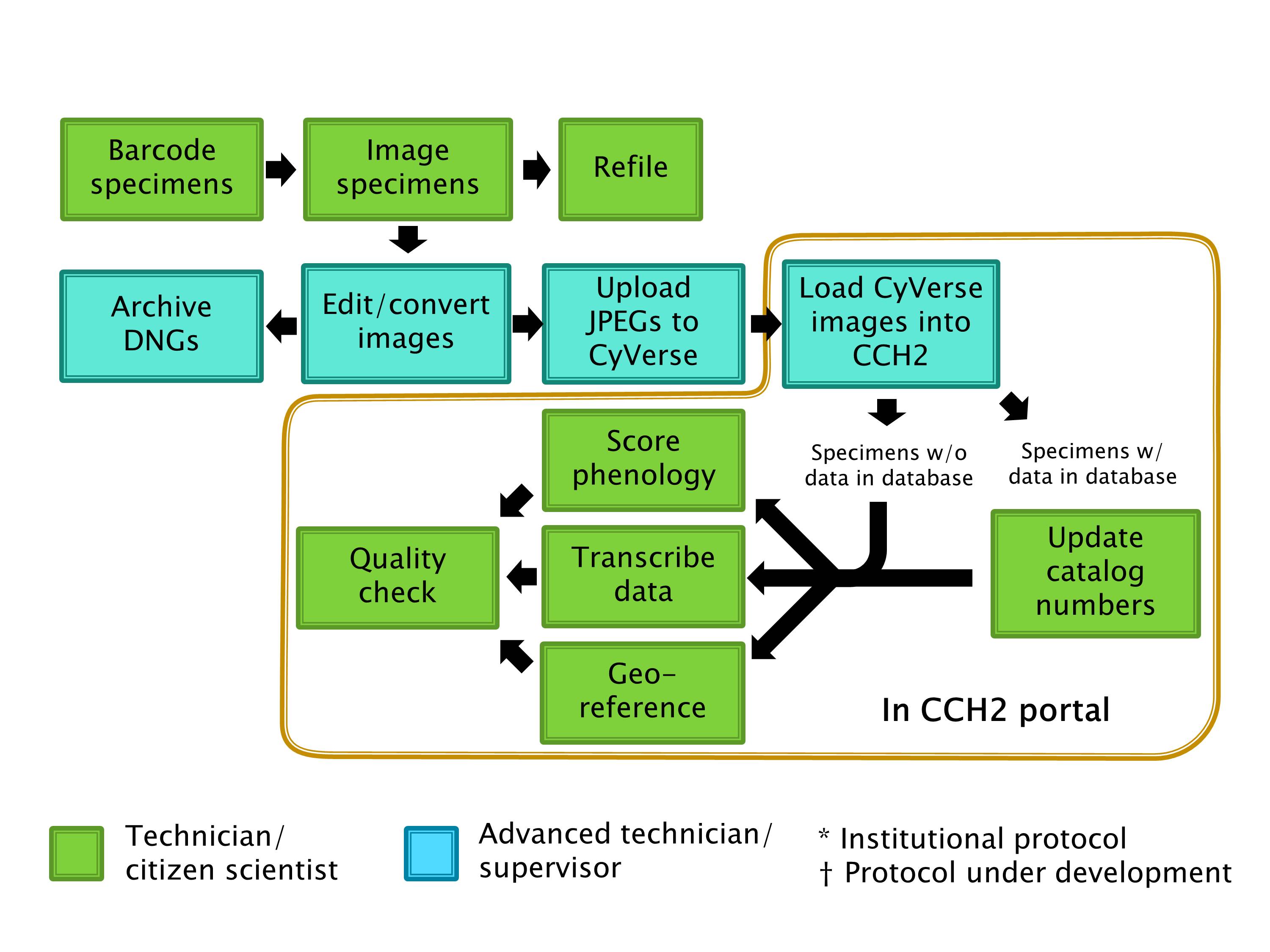 CAPWorkflow.jpg