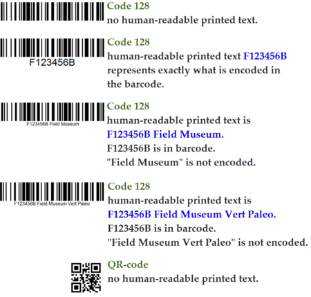 BarcodeExamples.png