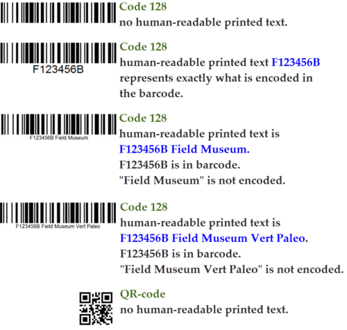 BarcodeExamples.png