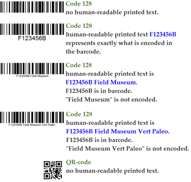 File:BarcodeExamples.png