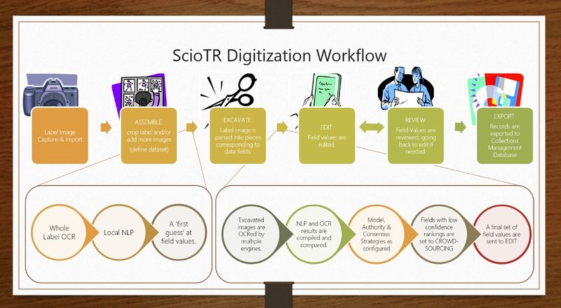 File:ScioTR workflow.jpg