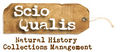 Thumbnail for version as of 11:31, 24 July 2013