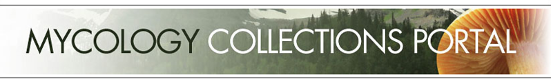 File:MaCC.png
