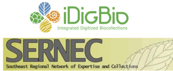 iDigBio Logo RGB.png