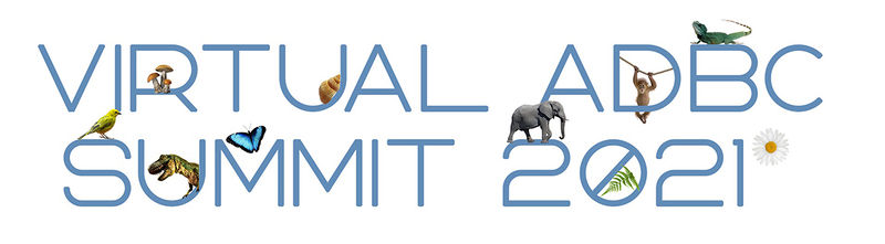 File:Summit2021ZoomBanner.jpg