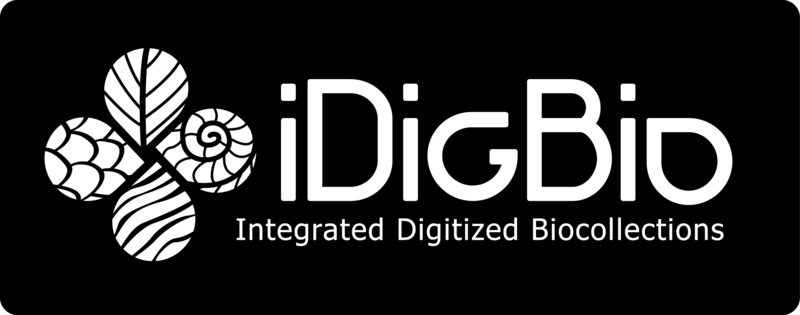 File:IDigBio Logo w kBG.png