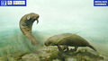 Thumbnail for version as of 10:50, 18 May 2022