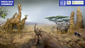 Thumbnail for version as of 10:41, 18 May 2022
