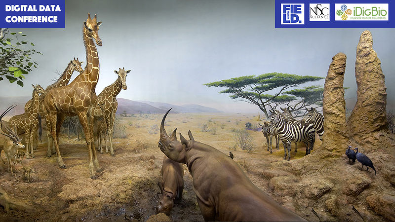 File:Africa.jpg