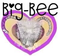 Big-Bee-logo-2022.png