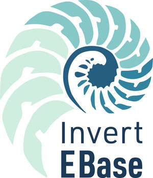 InvertEBase logo rbg.jpg