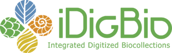 IDigBio Logo RGB.png