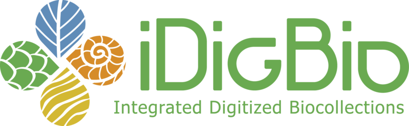 File:IDigBio Logo RGB.png
