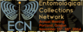 Thumbnail for version as of 20:50, 15 November 2014