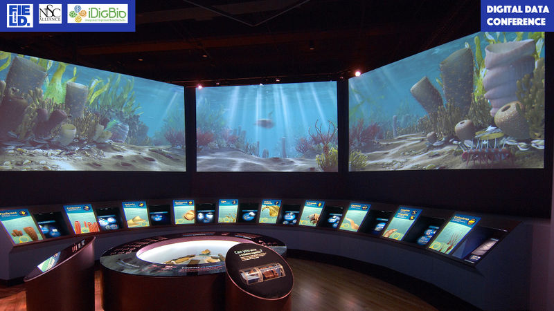 File:OceanExhibit.jpg