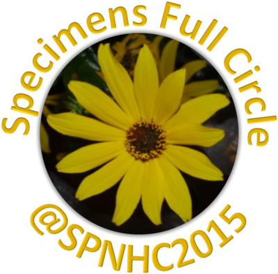 Sfc.png