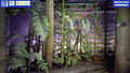 Thumbnail for version as of 10:45, 18 May 2022