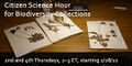 Thumbnail for version as of 16:25, 12 January 2021