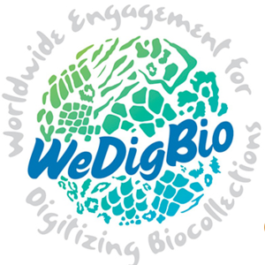 Wedigbio.png