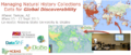 Thumbnail for version as of 17:12, 26 August 2015