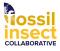 Thumbnail for version as of 09:36, 16 October 2015